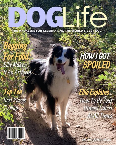 Issue Edition Dog Magazine Ubicaciondepersonascdmxgobmx