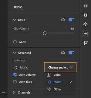 Comparison of adobe premiere pro vs. How to record audio or work with pre-recorded audio in ...
