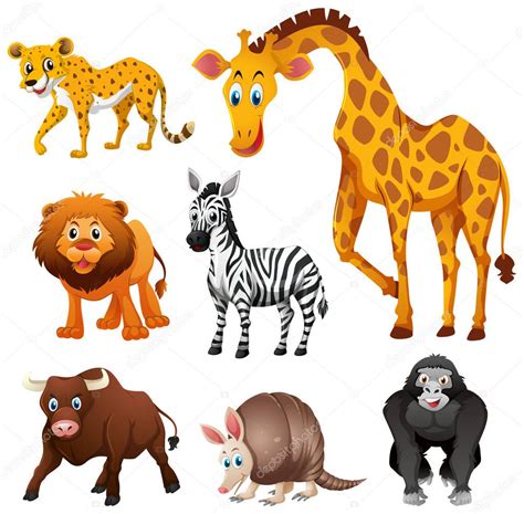Diferentes Tipos De Animales De La Selva 2023