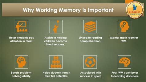 8 Reasons Why Working Memory Is Important Edublox Online Tutor
