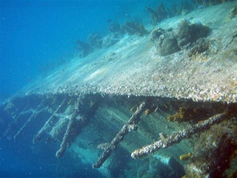 Greek Trading Ship Oldest Intact Shipwreck Known To Mankind Found In