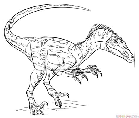 How To Draw A Velociraptor Step By Step Drawing Tutorials