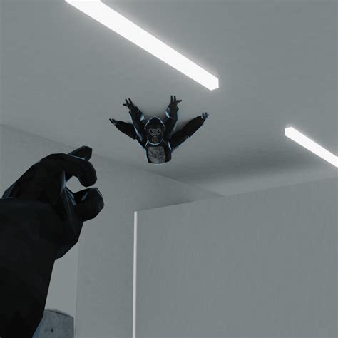 New Gorilla Tag Ghost Found : r/GorillaTag