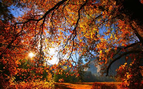 Is Fall Autumn At Sarah Clausing Blog