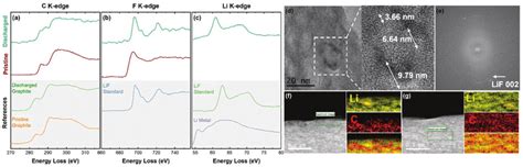 Cryogenic Scanning Transmission Electron Microscopy Cryo STEM And