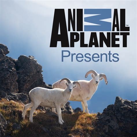 Animal Planet Presents Apple Tv