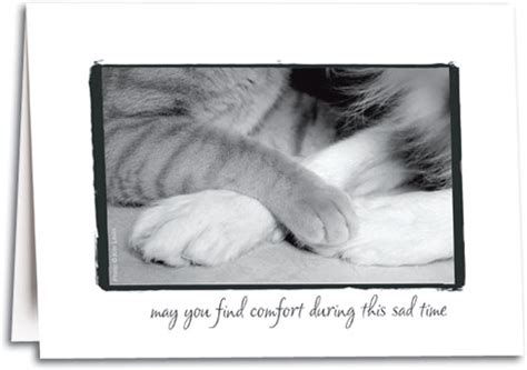Find Comfort Pet Sympathy Folding Card SmartPractice Veterinary