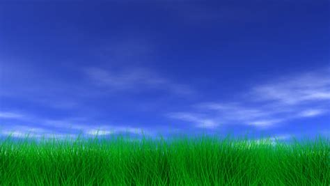 Blue Sky Light Clouds Slight Breeze And Lush Green Grass Hd Seamless