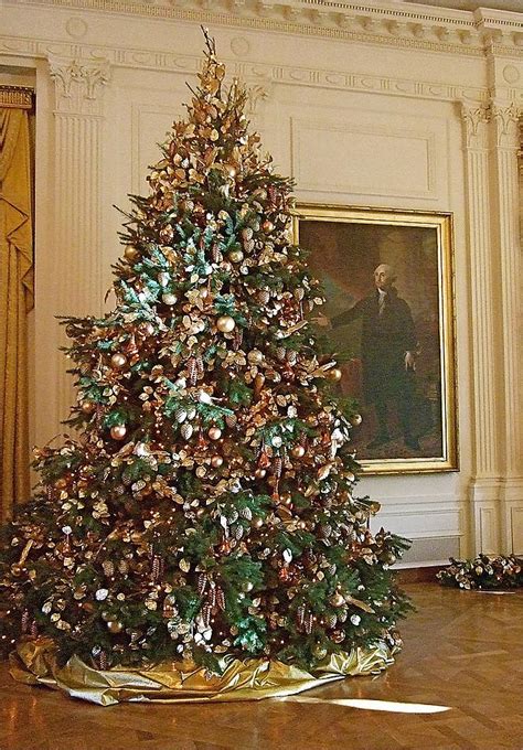 Beautiful Christmas Tree In T The White House Office Photo Glassdoor