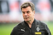 Dieter Hecking wird neuer Trainer des Hamburger SV | WEB.DE