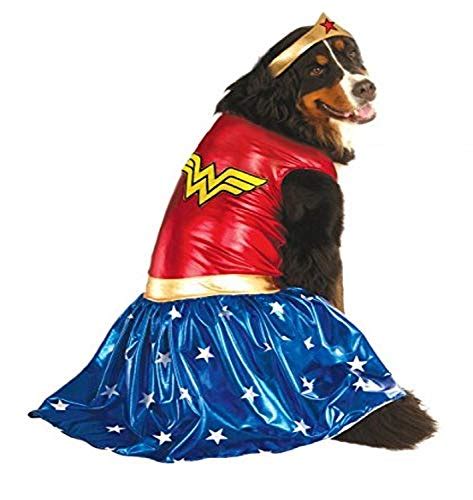 11 Cutest Movie Inspired Dog Costumes For Halloween Dogvills