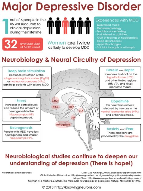 Depression Infographic By Knowing Neurons Knowing Neurons