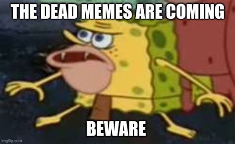 Dead Memes Imgflip