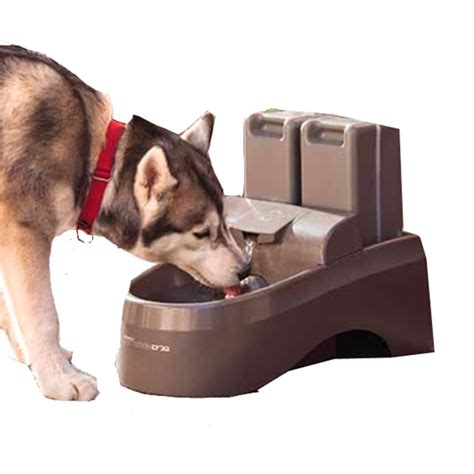 Drinkwell Outdoor Dog Fountain With Same Day Shipping Baxterboo