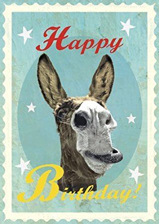 Donkey Funny Birthday Greeting Card If You Look Really Closely You Can See Two Donkeys Staring