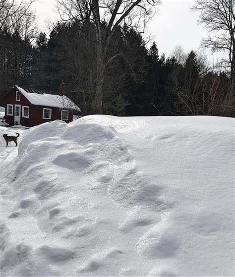 We did not find results for: The accumulated snow ⛄️ piles are 6-8' feet tall now. The ...