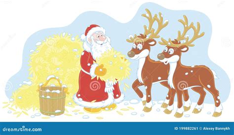 Santa Claus Feeding His Reindeer With Hay Stock Vector Illustration Of Claus Frost 199882261