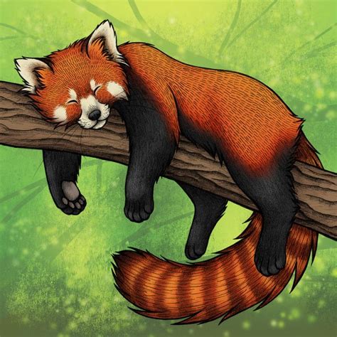 Red Panda Art Print By Lyndsey Green Illustration Society6 With