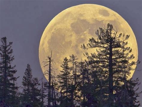 This Supermoon Will Be 14 Bigger And 30 Brighter Than Usual This Is