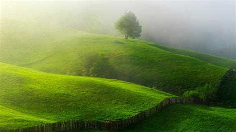 Hd Wallpaper Green Grass Field Hills Trees Landscape Nature Green