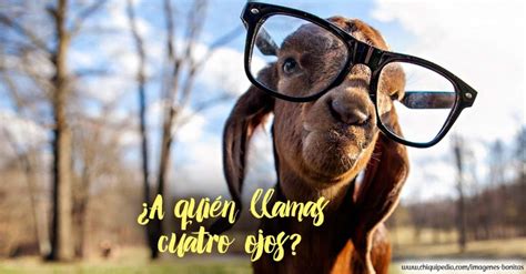 Las Mejores IMAGENES DE RISA 【Fotos Chistosas y Divertidas】