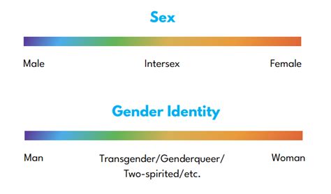 Understanding The Gender Spectrum Ccm Blog