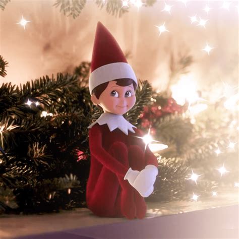 what do scout elves do at night the elf on the shelf