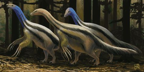Therizinosaurus Cheloniformis By Judoliveira On Deviantart