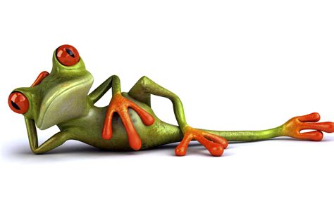 Frog Relax Funny Wallpapers Hd Desktop And Mobile