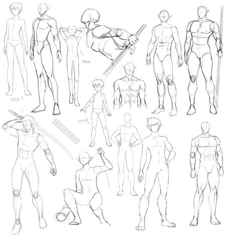 Image Result For Male Side Anatomy Reference Anatomy Sketches