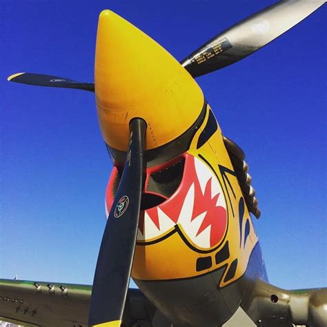 Beautiful Warbirds — P 40 Warhawk Warbirds Wwii Aircraft Wwii Fighters