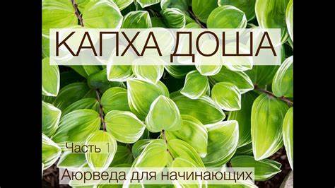 Доша капха диета Капха Доша. Часть 1. Аюрведа для начинающих. - YouTube Капха Доша. Часть 1. Аюрведа для начинающих. - YouTube Доша капха диета
