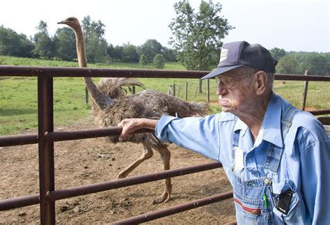 Ostrich Farming Not What It Once Was Rockingham County Farmer Ready To