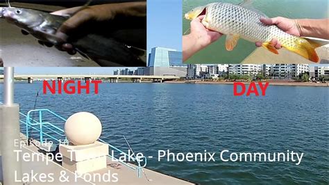 Episode 10 Tempe Town Lake Phoenix Community Fishing Lakes And Ponds