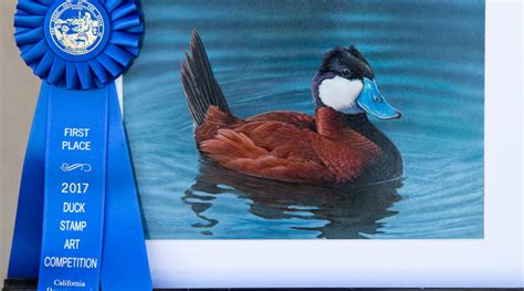 2017 California Duck Stamp Art Contest Winner Announced