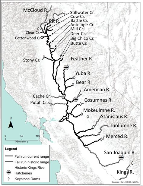 Current And Historical Central Valley Fall Run Chinook Salmon