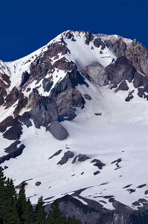 Mt Hood Oregon In Summer Photograph By Nature Photo Northwest