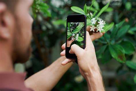 It is completely free, though, making relax melodies a good choice for people who already know how to meditate but are looking for something to. The 3 Best Free Plant Identification Apps of 2020 for ...
