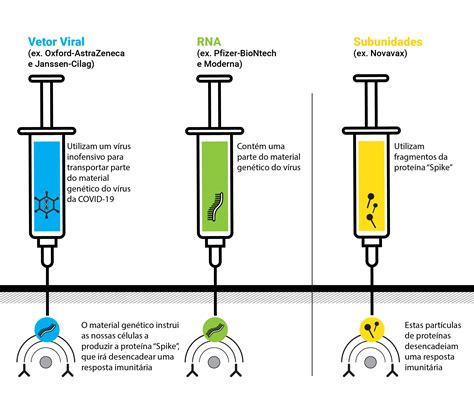 Vacinas O Poder Da Ciência