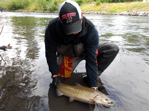 Learn To Fish Washingtons Nisqually River Pautzke Bait Co