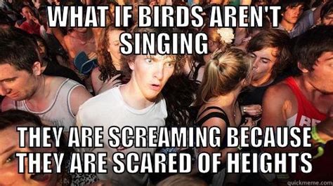 Scared Birds Quickmeme