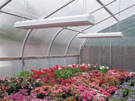 Energy Efficient Lighting For The Greenhouse Greenhouse Grower