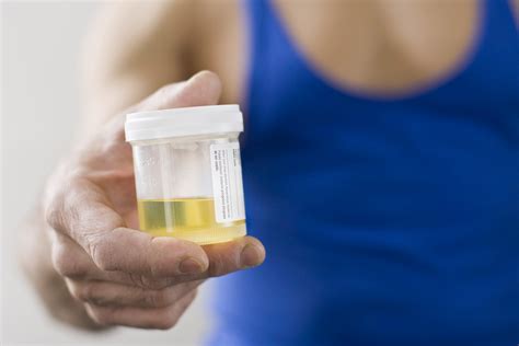 What S In Pee Urine Composition Study Reveals More Than 3 000 Chemical