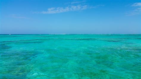 Caribbean Sea And Blue Sky Free Stock Photo Public Domain Pictures