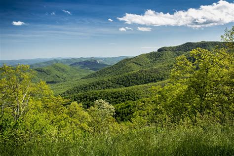 While we continue to feature destinations that make our state wonderful, please. Pisgah National Forest will begin reopening trails and ...