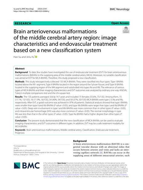 PDF Brain Arteriovenous Malformations Of The Middle Cerebral Artery