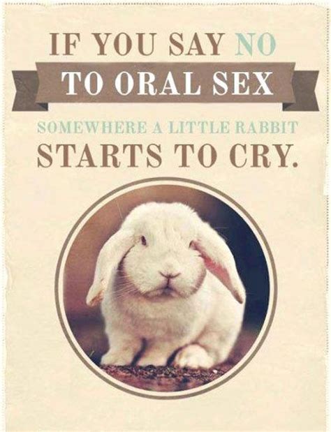 Poor Bunnies Funny Pictures Hilarious Rabbit