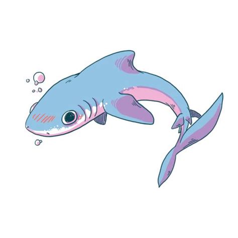 Cute Animal Drawings Cool Drawings Shark Drawing Character Art