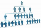 What is an Organizational Structures? - Management Square
