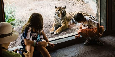 Top 155 Advantages Of Zoo For Animals